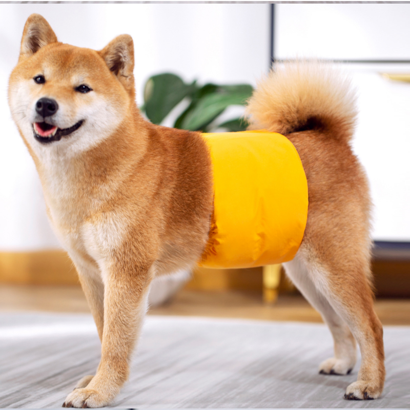Waterproof Dog Bellyband | Absorbent Male Dog Diaper Belt