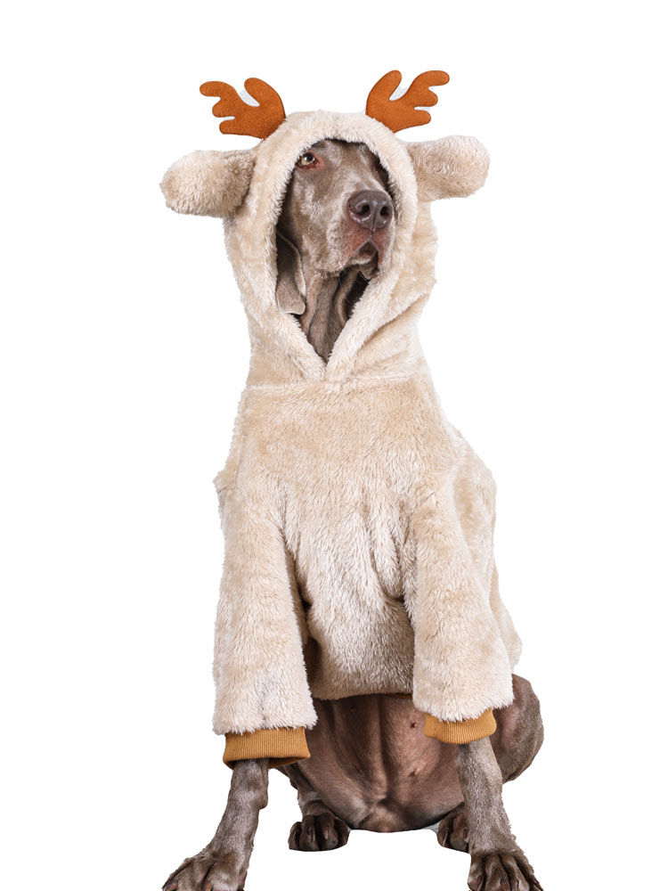 Large dog winter fleece-lined pet Christmas clothes-Hoodies for large dogs