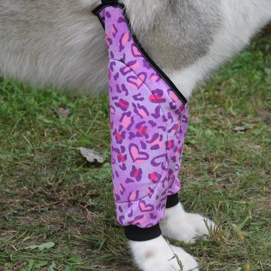 Dog Knee Suit16