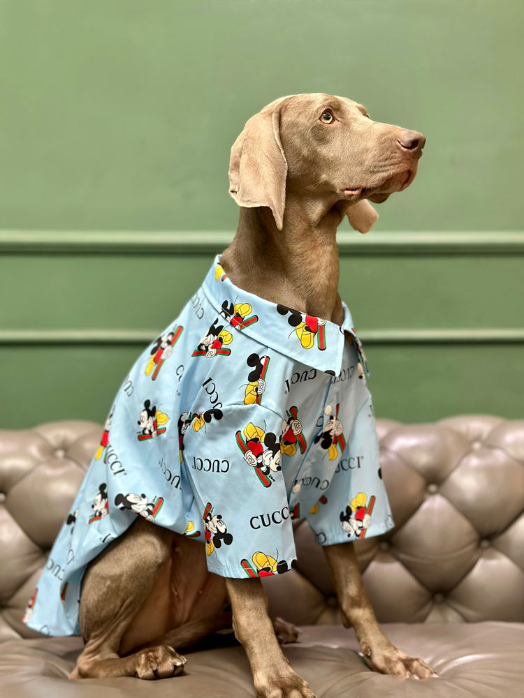 LovinPet Large Dog Shirts | Stylish Summer Outfits for Big Dogs