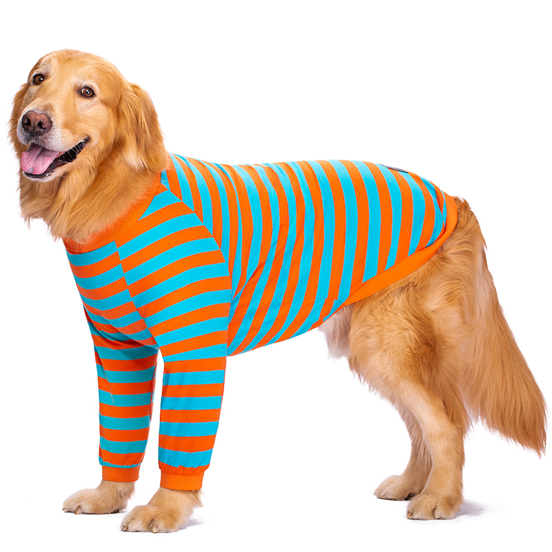 Pet dog clothes thin golden retriever Labrador medium large dog anti-hair loss joint protection elbow pad two feet