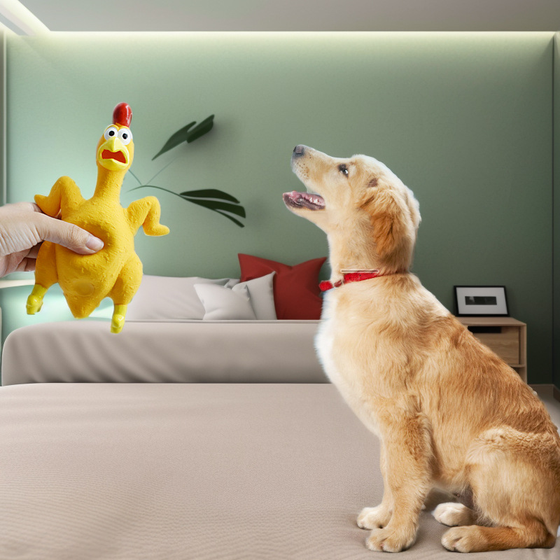 Amazon hot dog sound toy latex screaming chicken dog vent bite-resistant interactive Japanese and Korean pet supplies