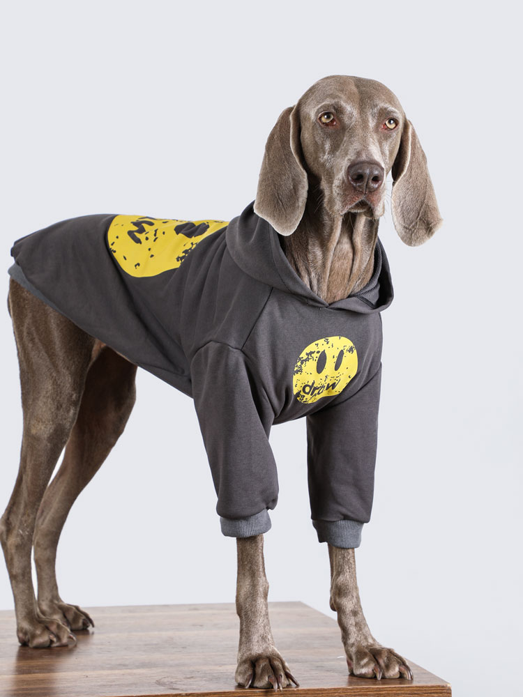 Warm Dog Hoodie for Large Breeds - Yellow Smiley Face Design
