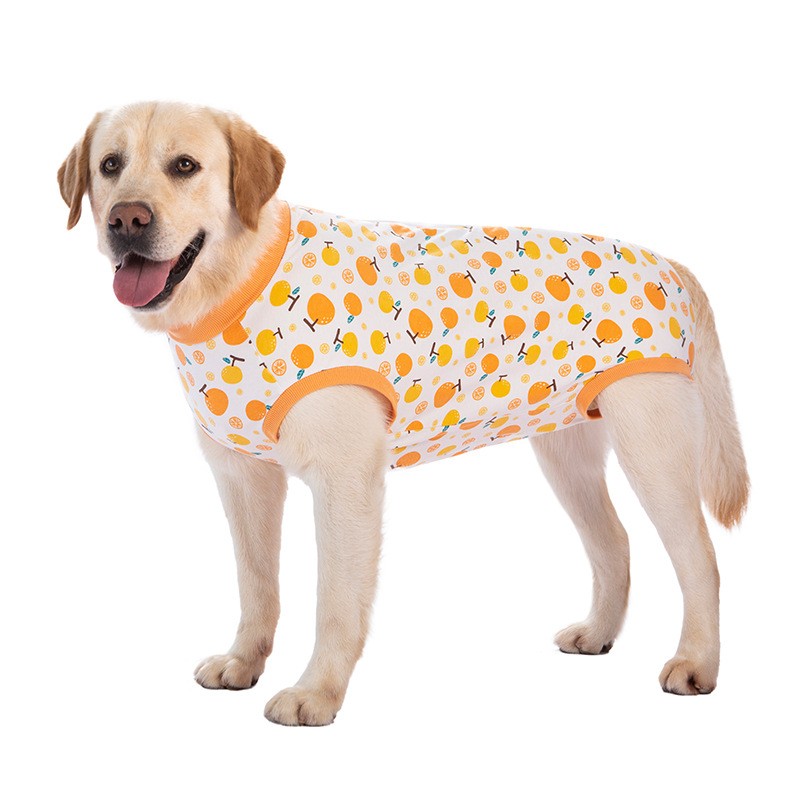 Dog sterilization surgical gown golden retriever Labrador weaning clothing all-inclusive bellyband anti-licking pet four-legged vest thin