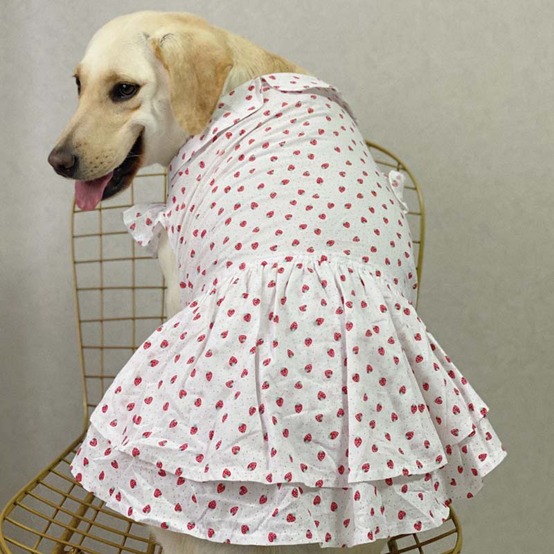 Dog clothes large dog thin Internet sensation dog skirt anti-lint cute clothes labrador golden retriever clothes