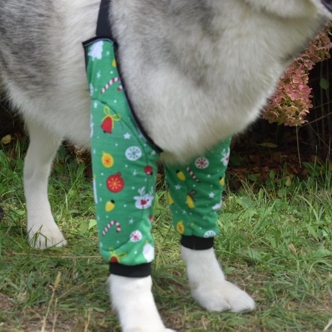 Dog Knee Suit16