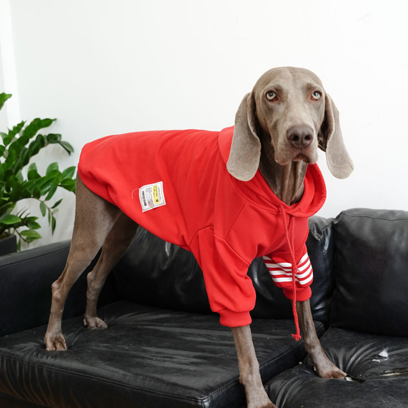 Large Dog Hoodies | Thickened Autumn Winter Fashion for Labradors,Huskies, Samoyeds