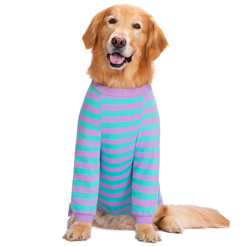 Pet dog clothes thin golden retriever Labrador medium large dog anti-hair loss joint protection elbow pad two feet