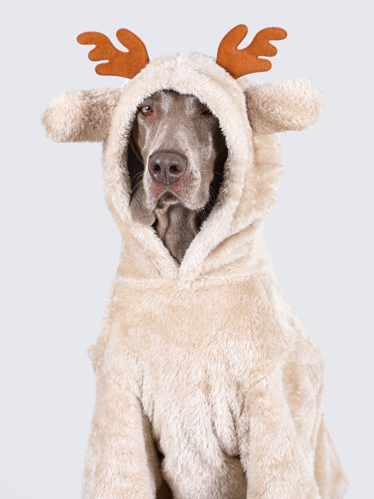 Large dog winter fleece-lined pet Christmas clothes-Hoodies for large dogs
