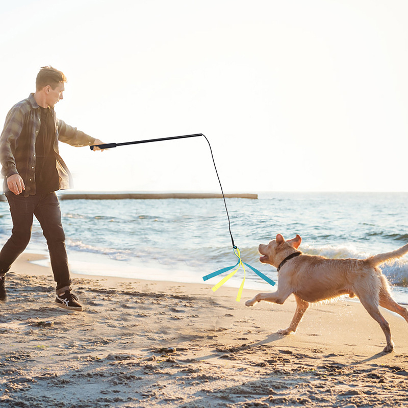 Pet Toy training expandable baton dog throw Rod outdoor interactive detachable throwing device dog training dog toy