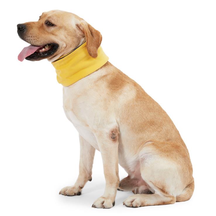 Pet neck protection scarf golden retriever Teddy Lingti China canines whippets autumn and winter warm windproof border collie scarf