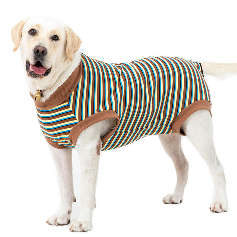 Big dog clothes autumn and winter fleece-lined thickened golden retriever bellyband vest warm prevent catching cold female canine all-inclusive belly post-operation clothes