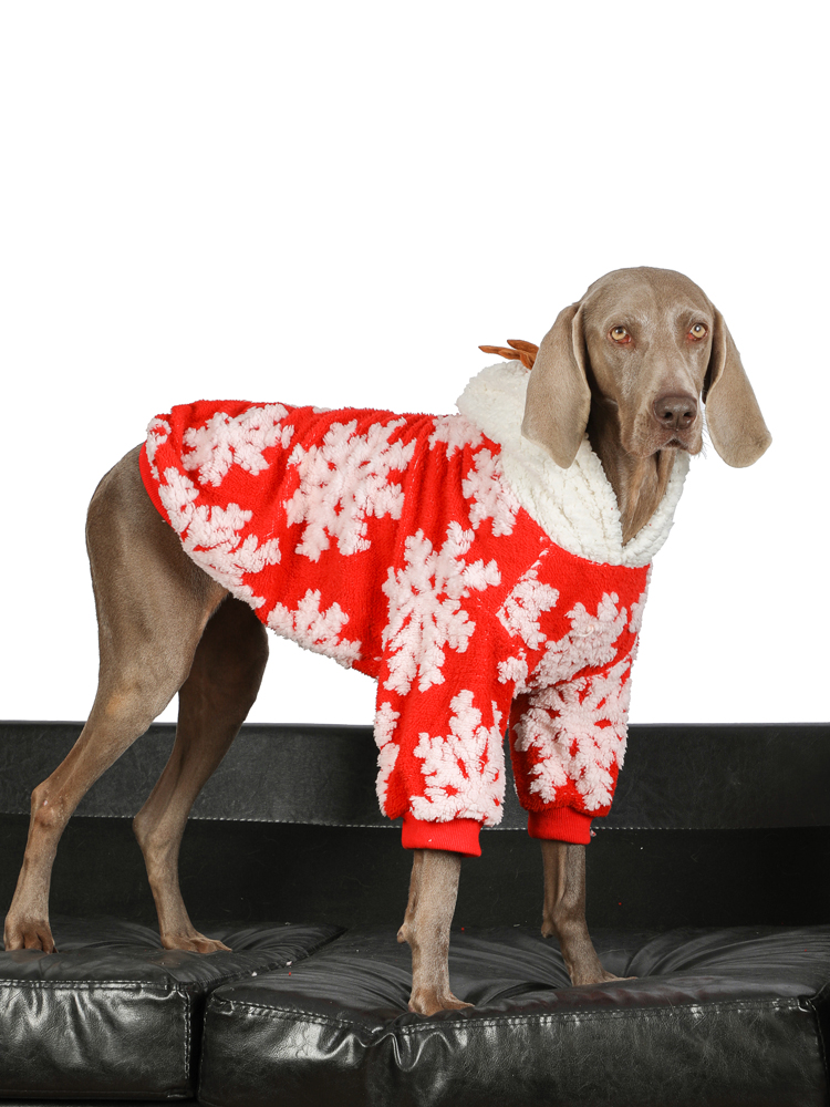Christmas Dog Hoodies for Large Breeds | Cute Winter Antler Hoodie
