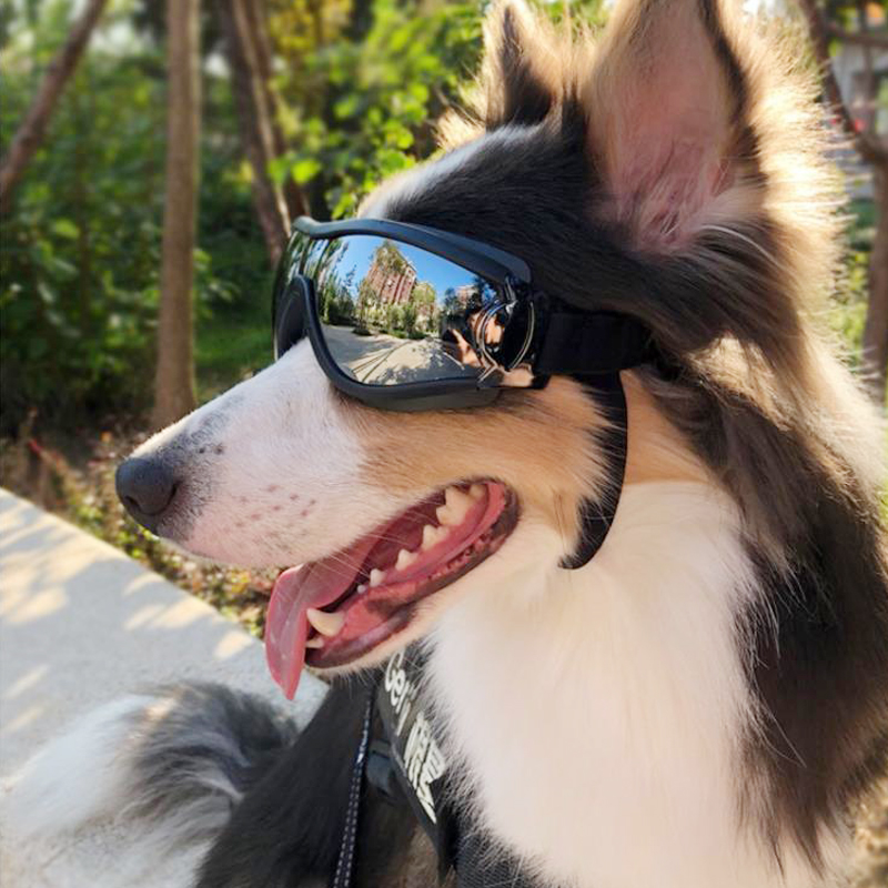 Pet goggles dog sunshade transparent glasses waterproof windproof anti-snow UV big dog eyes