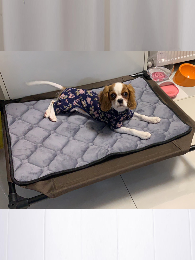 Pet sofa cushion kennel winter large dog pet pad nest plush car dog mat warm dog mattress supplies