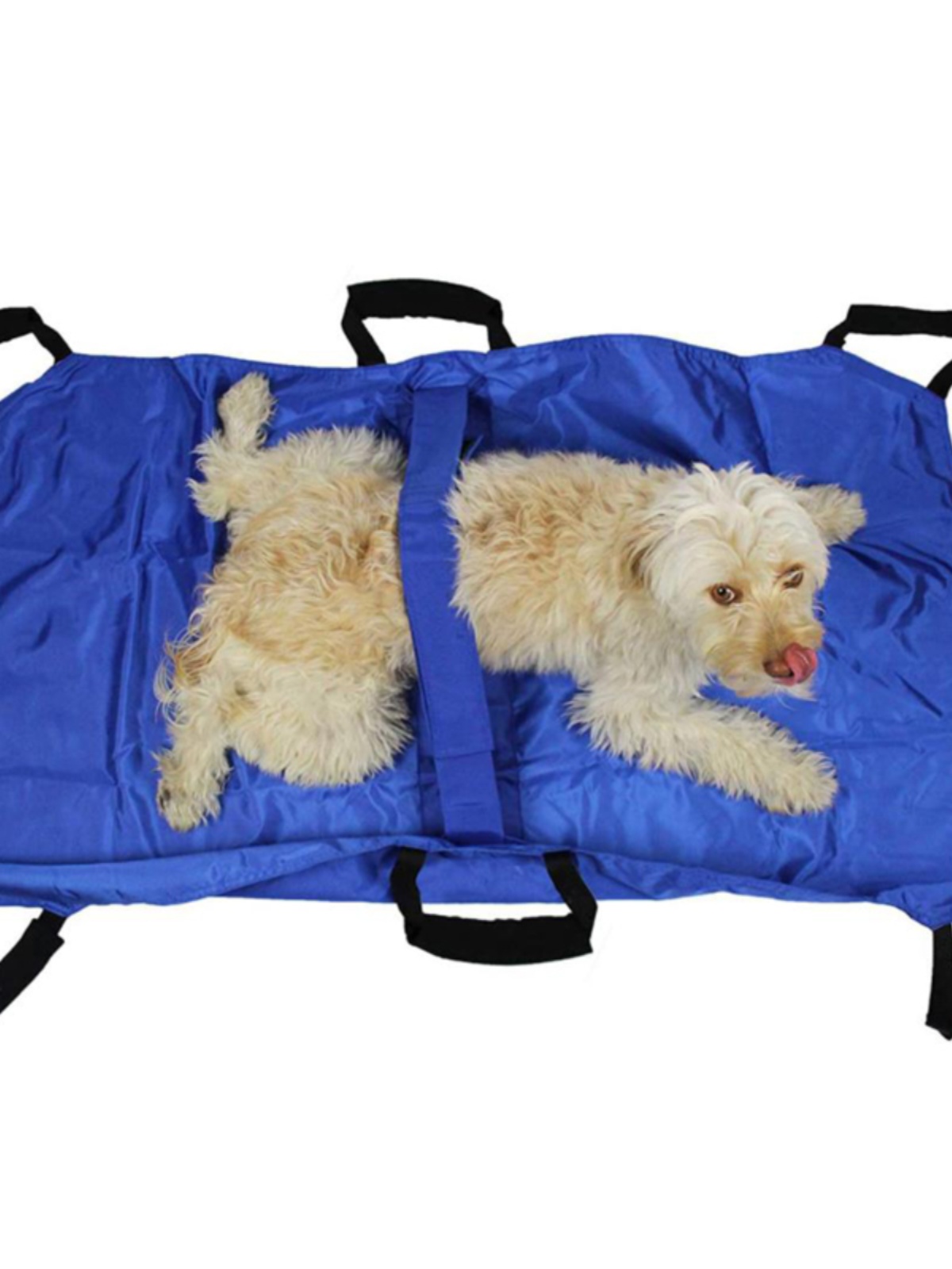 Dog emergency stretcher folding bed fracture medical treatment elderly paralysis injury rescue mobile car golden retriever up and down the floor