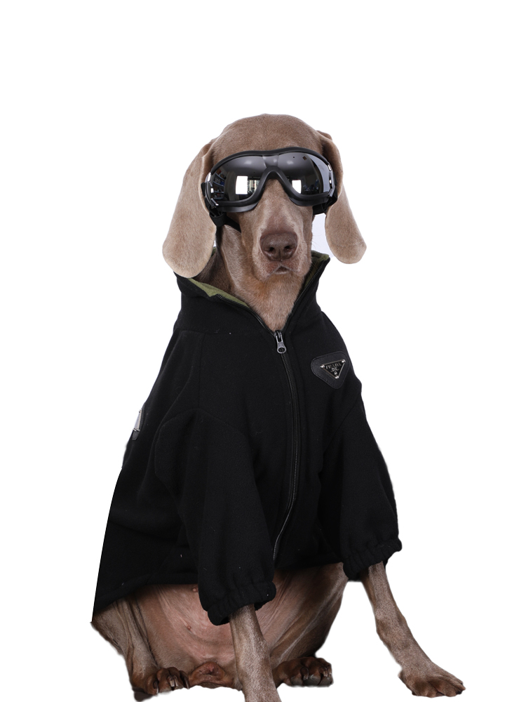 Winter Polar Fleece Dog Hoodies - Soild Color Clothes for Large Breeds