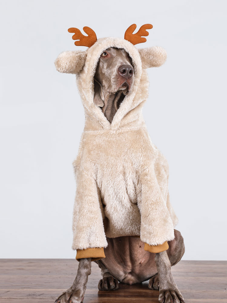 Large dog winter fleece-lined pet Christmas clothes-Hoodies for large dogs