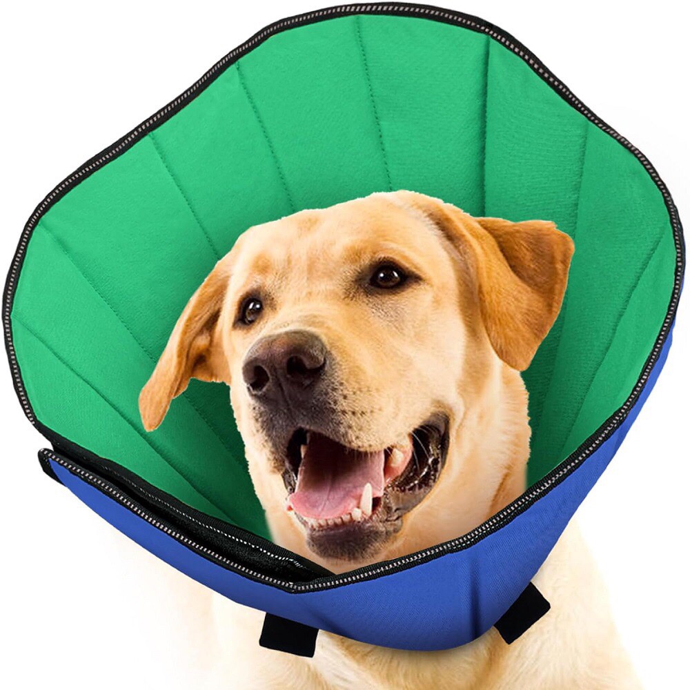 Medium & Big Dog Collar - Deepening plus-sized Elizabeth ring