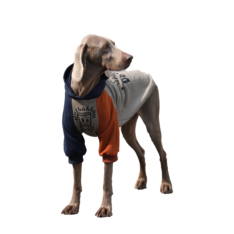 Anti-Lint Large Dog Hoodie - For Spring and Autumn