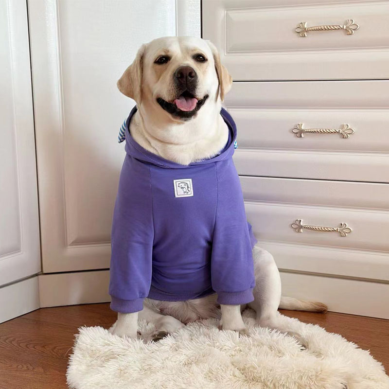 Trendy Lightweight Dog Hoodie for Large Breeds - Spring and Autumn
