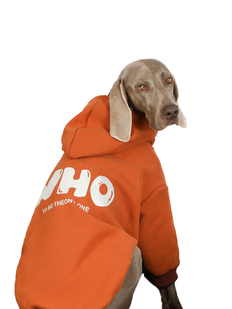 Warm Anti-Lint Dog Hoodies for Large Dogs - Golden Retriever & Labrador