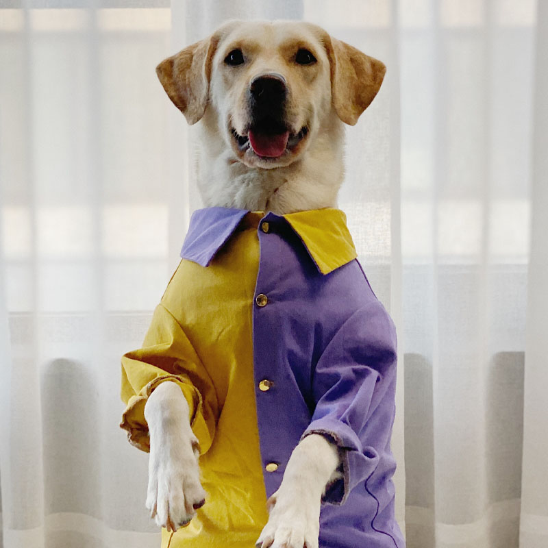 LovinPet Stylish Color-Block Design Dog Shirt | Spring/Autumn Outfit for Large Dogs