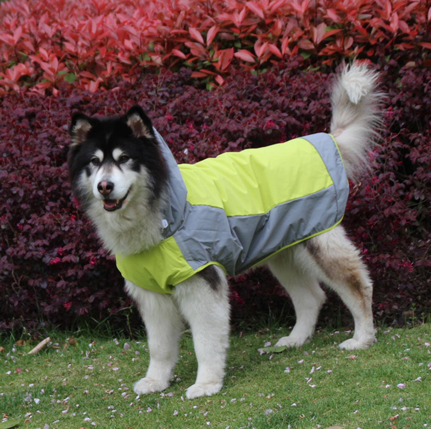Large Dog Raincoat - Waterproof & Breathable Double-Layer Sun Protection Windcheater for Big Dogs