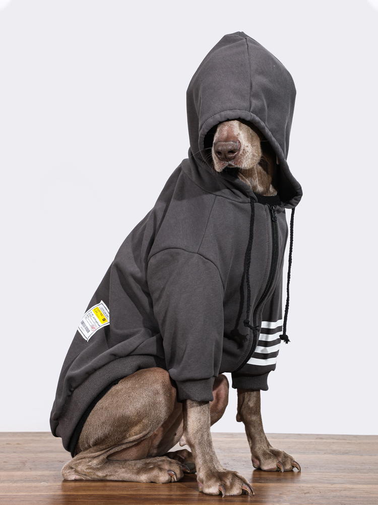 Fashionable Black Large Dog Hoodie for Autumn & Winter | Warm Labrador & Golden Retriever Coat