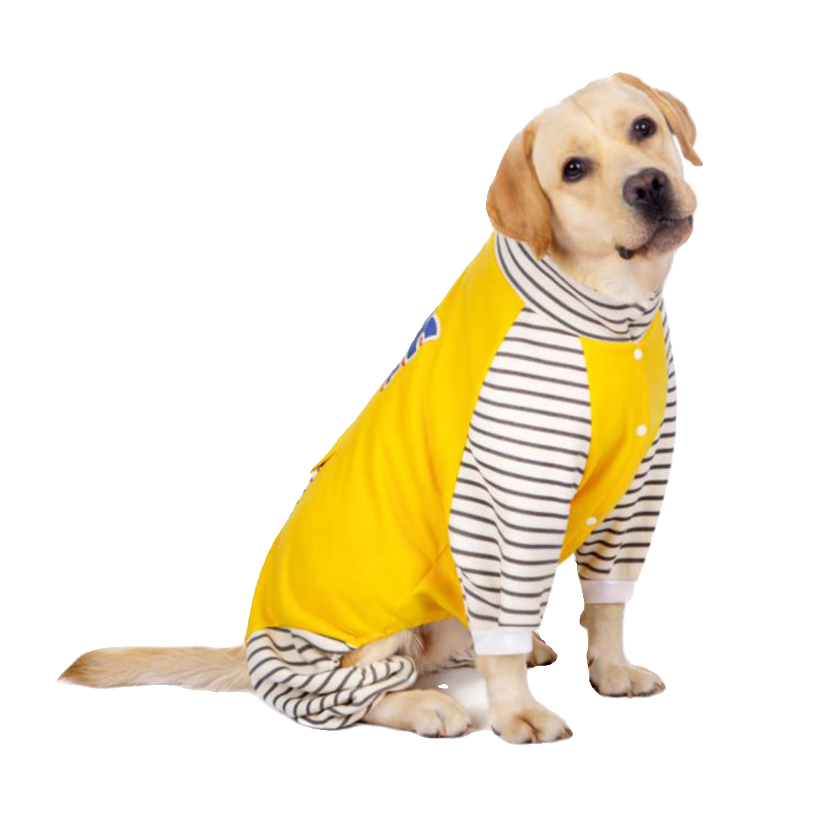 Warm Four-Leg Dog Sweater - Fleece, Cold Protection for Large Dogs