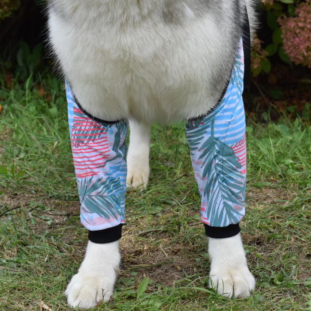 Dog Knee Suit16