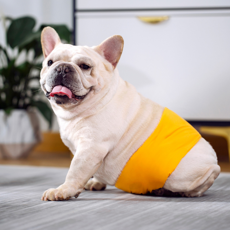 Waterproof Dog Bellyband | Absorbent Male Dog Diaper Belt