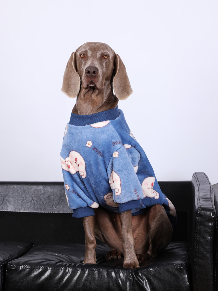 Large dog in Lovinpet blue fleece pajamas with a cute bear design, sitting on a couch, providing warmth and comfort for large breeds.