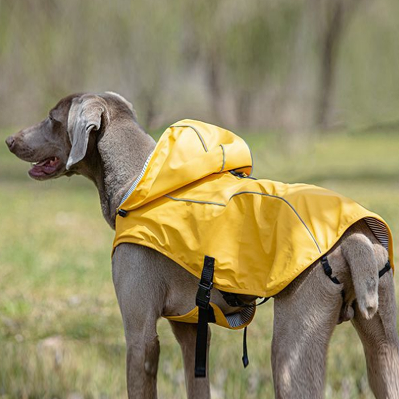 Premium Dog Raincoat with Hood | Waterproof & Windproof Large Dog Jacket | Outdoor Canine Rain Gear