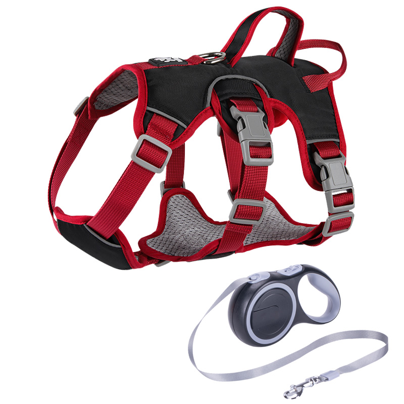 Anti breaking loose dog hand holding rope chest strap small and medium-sized dogs Jarre Aero bull Corgi and Shiba Inu dog leash dog leash dog chain