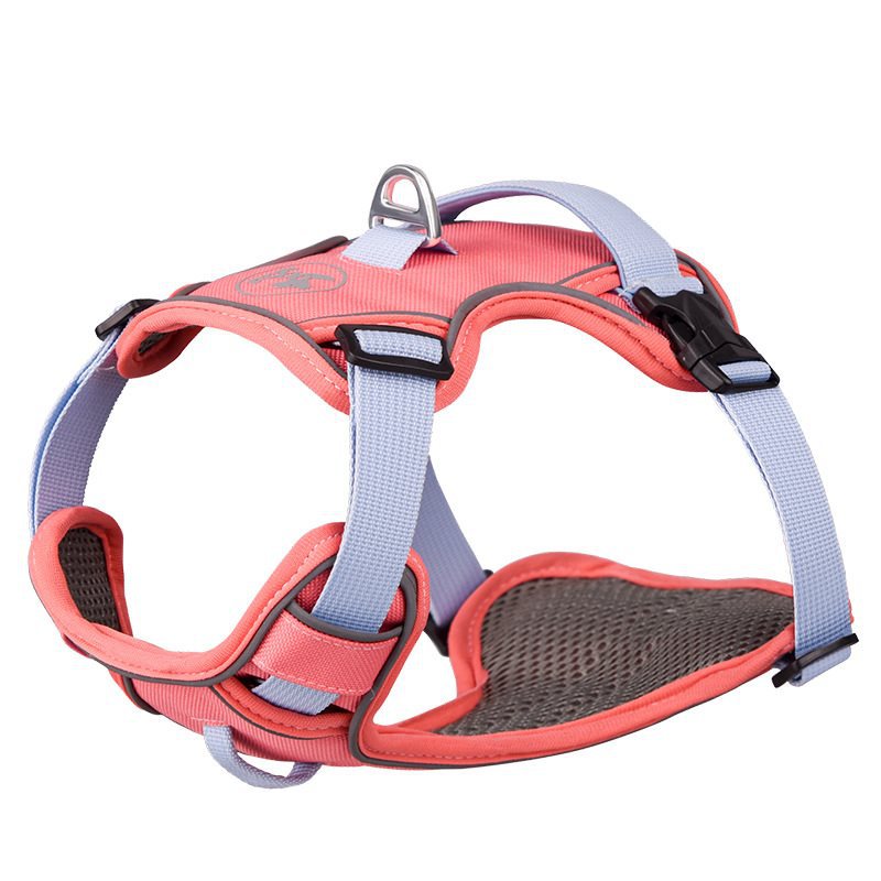 Dog hand holding rope vest-style chest strap outing strap dog harness small large dog Labrador dog leash
