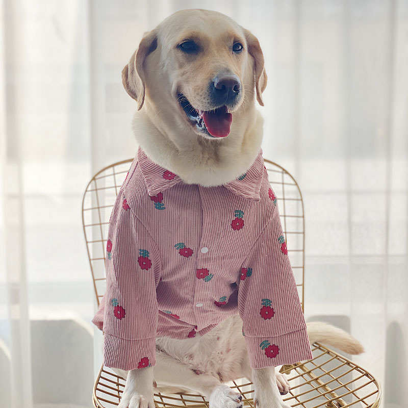 LovinPet Large Dog Corduroy Shirt | Cute Style for Labradors & Retrievers