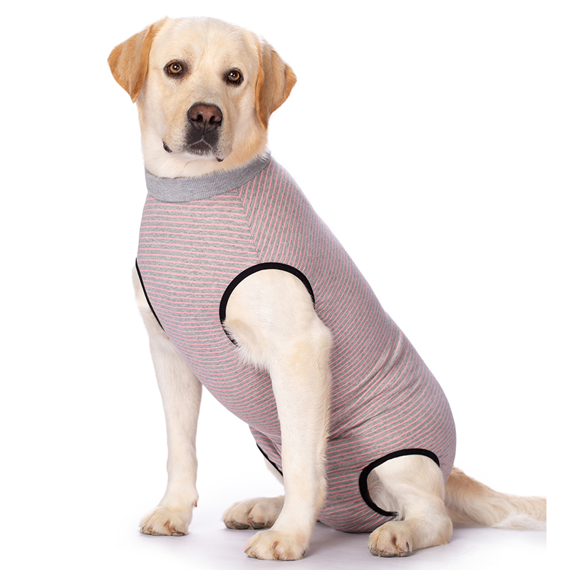 Big Dog menstrual panties female canine pants for menstrual period safety pants female dog menstrual period anti-cross anti-harassment dog sterilization surgery back clothes thin