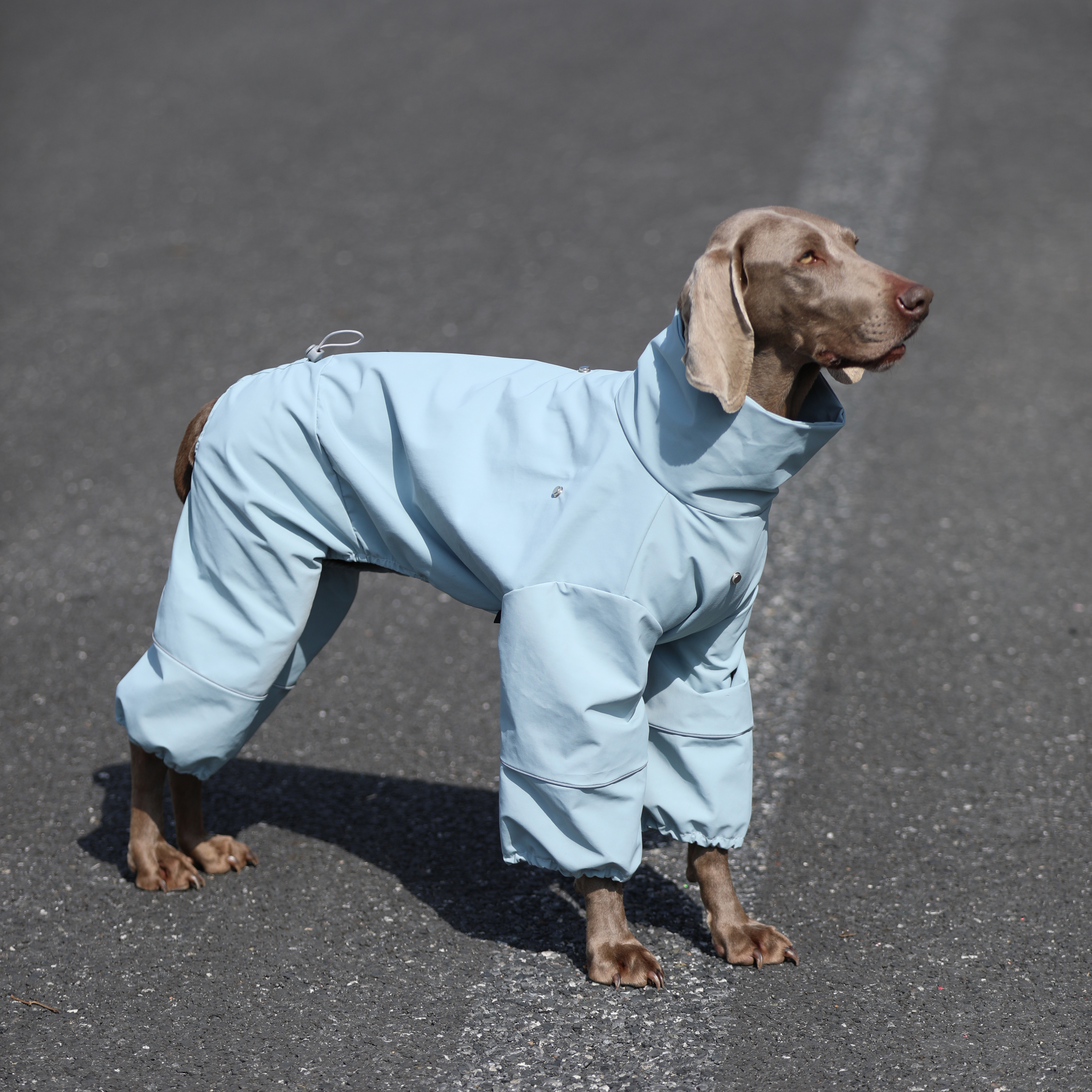 Big Dog raincoat labrador golden retriever Dubin four-legged waterproof clothes pet Four Seasons detachable hat dog poncho