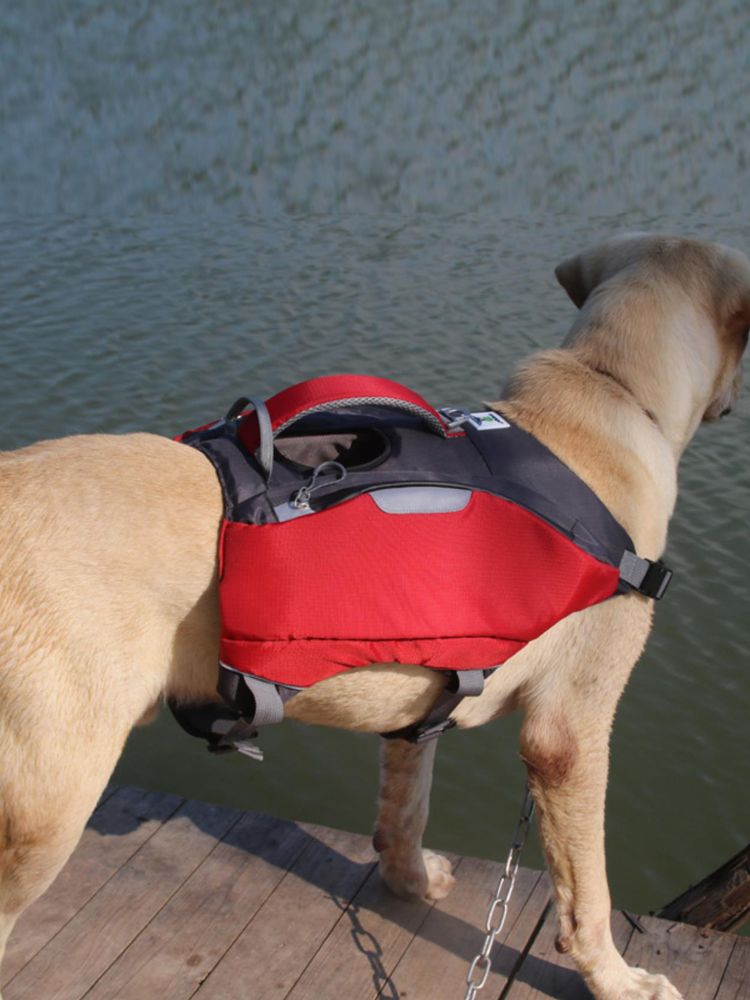 Dual-Use Dog Life Jacket Backpack | High Buoyancy for Medium to Large Dogs