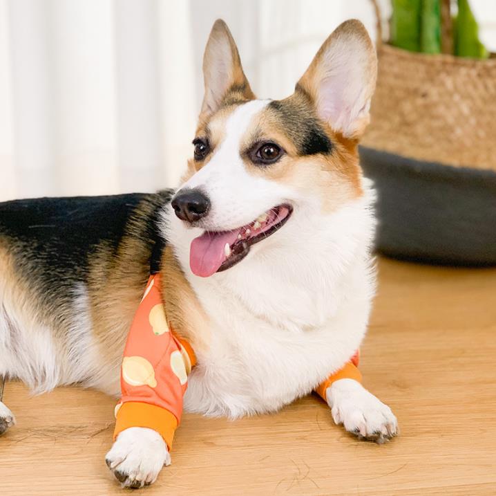Pet knee pad leg pad dog joint surgery injury protective cover cold-proof warm Jarre Aero bull Shiba Inu Corgi elbow pad clothing