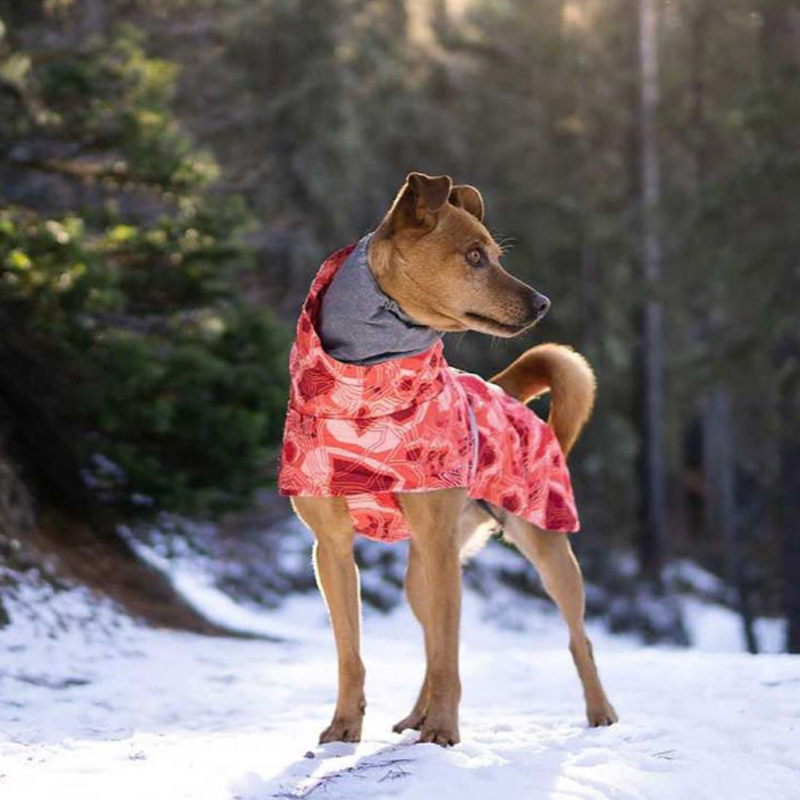 Lovinpet Waterproof Cotton-Padded Dog Coat - Windproof Winter Jacket with Neck Protection for Medium to Large Breeds