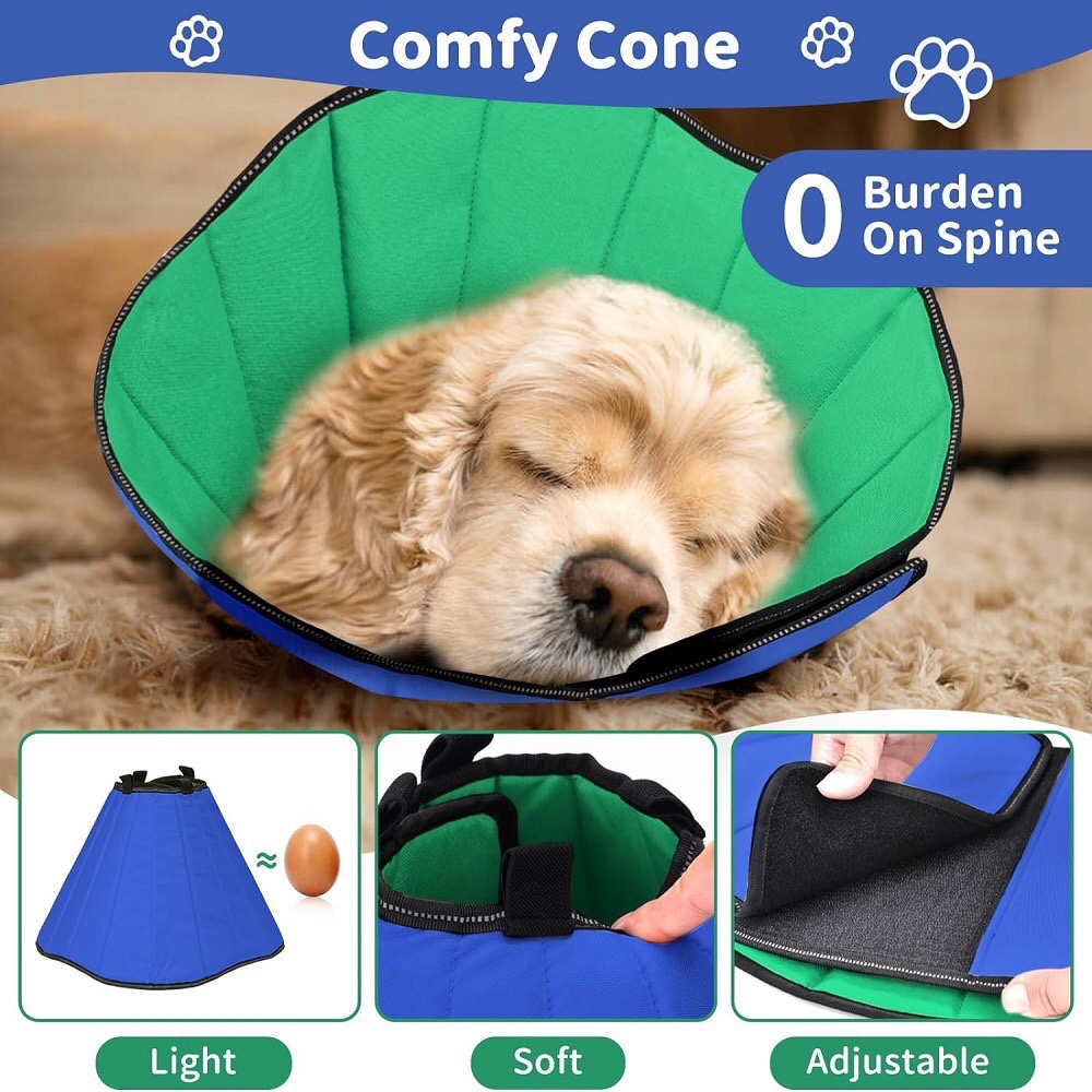 Medium & Big Dog Collar - Deepening plus-sized Elizabeth ring