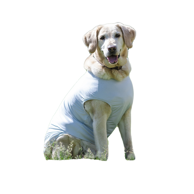 Dog UV Protection Suit - UPF50+ 2