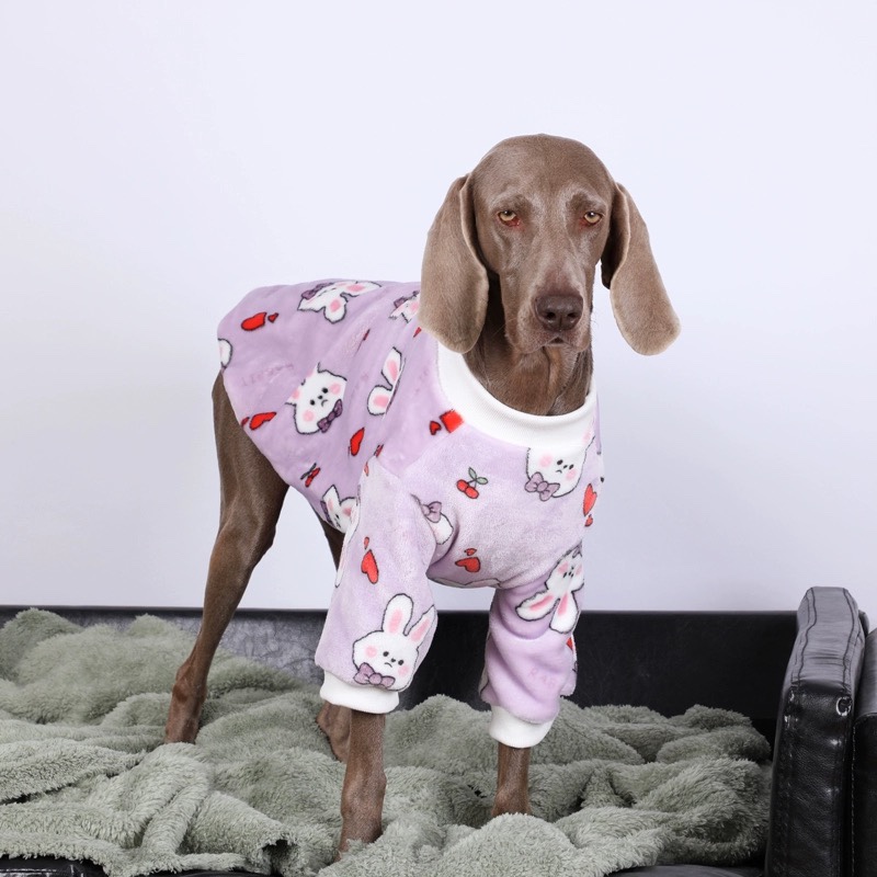 Large dog in Lovinpet purple fleece pajamas with a cute bunny and heart design, standing on a couch, providing warmth and comfort for large breeds.