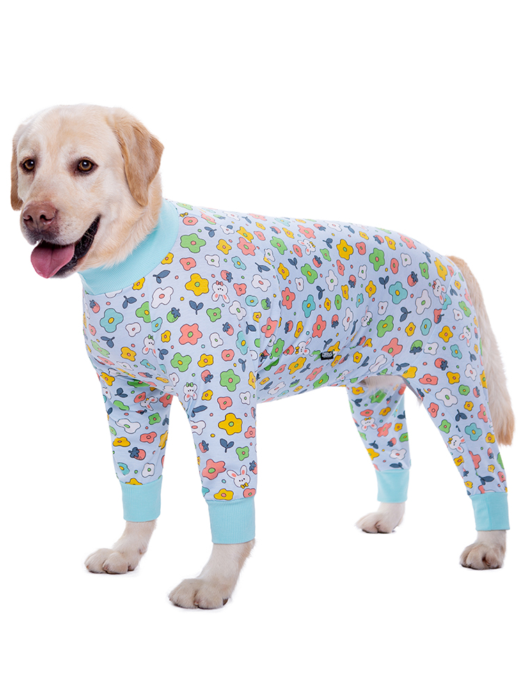 Dog clothes thin golden retriever Labrador medium large dog pet bellyband joint protection anti-lint four-legged pet clothing