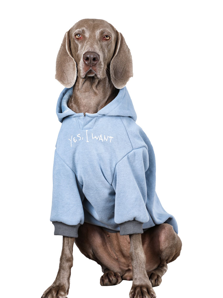 Warm Winter Dog Hoodie for Large Breeds - High-Neck Design