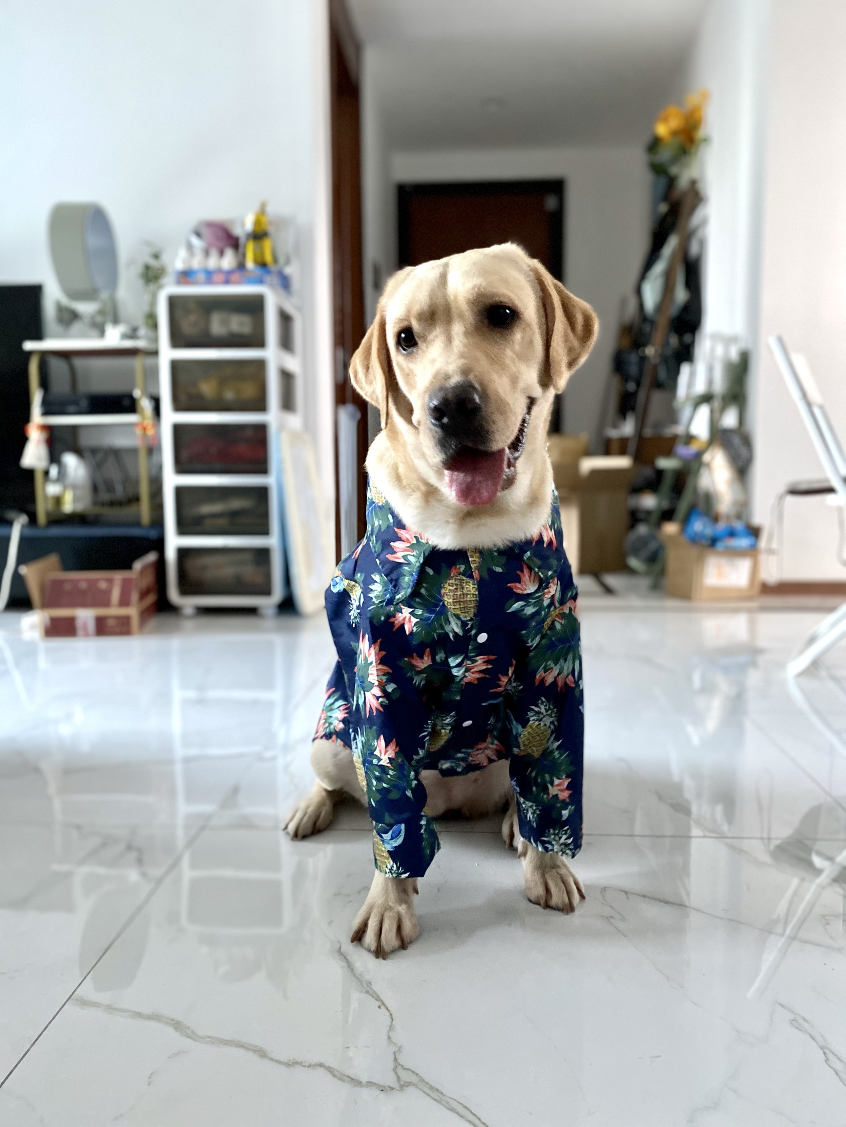 LovinPet Summer Dog Shirt | Anti-Lint Hawaiian Print for Big Dogs