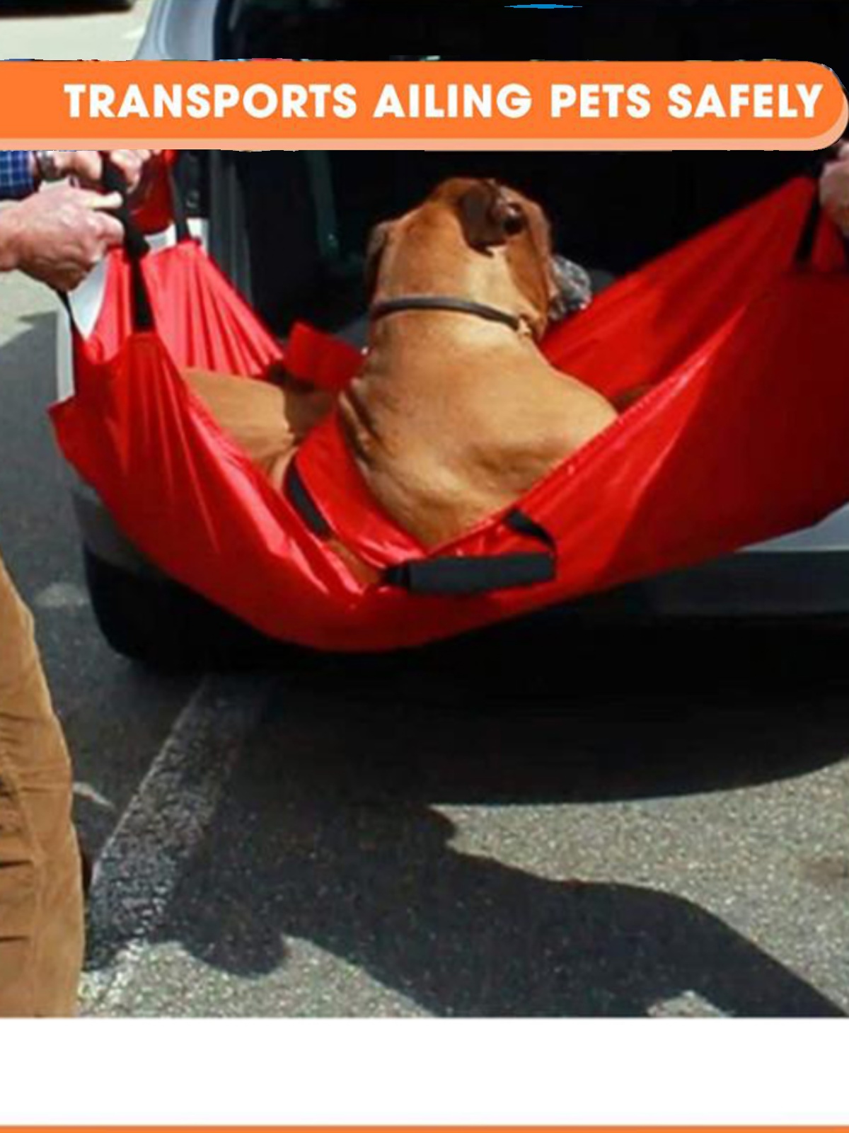 Dog emergency stretcher folding bed fracture medical treatment elderly paralysis injury rescue mobile car golden retriever up and down the floor