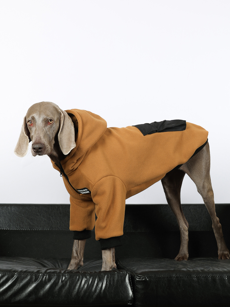 Fashionable Warm Winter Hoodies for Large Dogs - Golden Retriever, Labrador, Border Collie